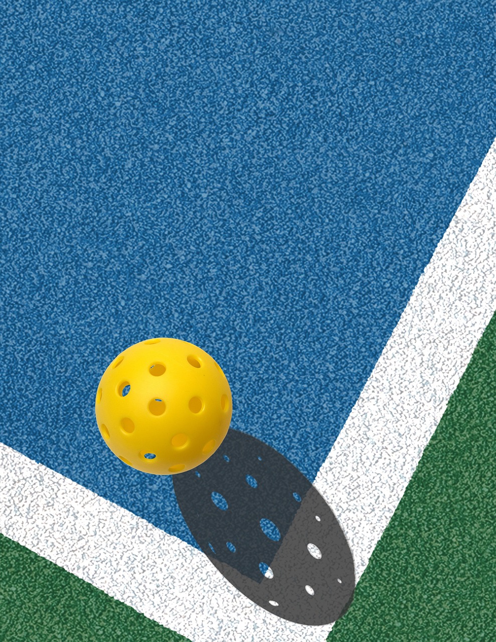 Image of a Pickleball