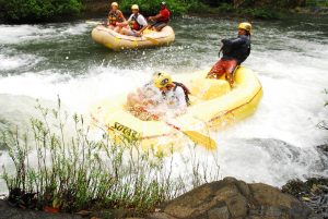 Whitewater Rafting day trip