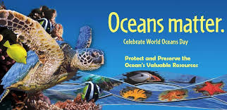 poster for World's Ocean Day in Playa Hermosa Costa Rica
