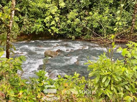Rushing rapids in river near Bijagua